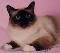 jim